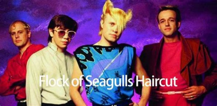 Flock of Seagulls Hair That Rocks: The Ultimate Guide