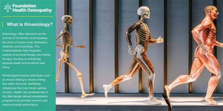 Foundations of Scientific Writing for Kinesiology: A Comprehensive Guide