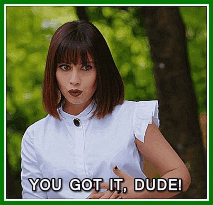 GIF You Got It Dude: A Deep Dive into Its Cultural Significance