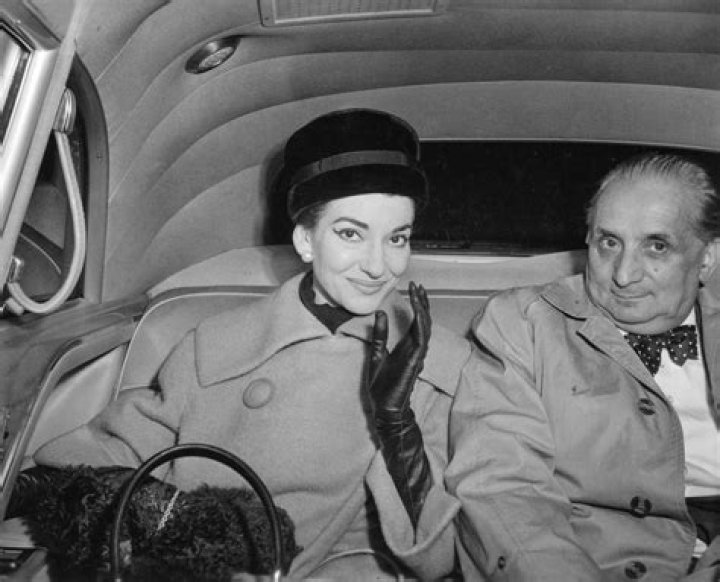 Giovanni Battista Meneghini: The Man Behind the Curtain