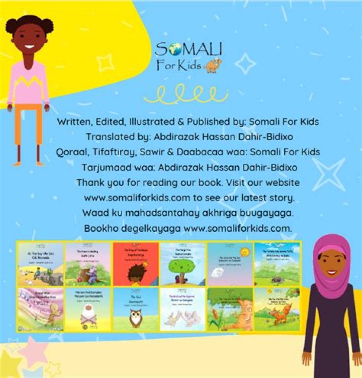 Google Discover: Somali Stories & Search Issues