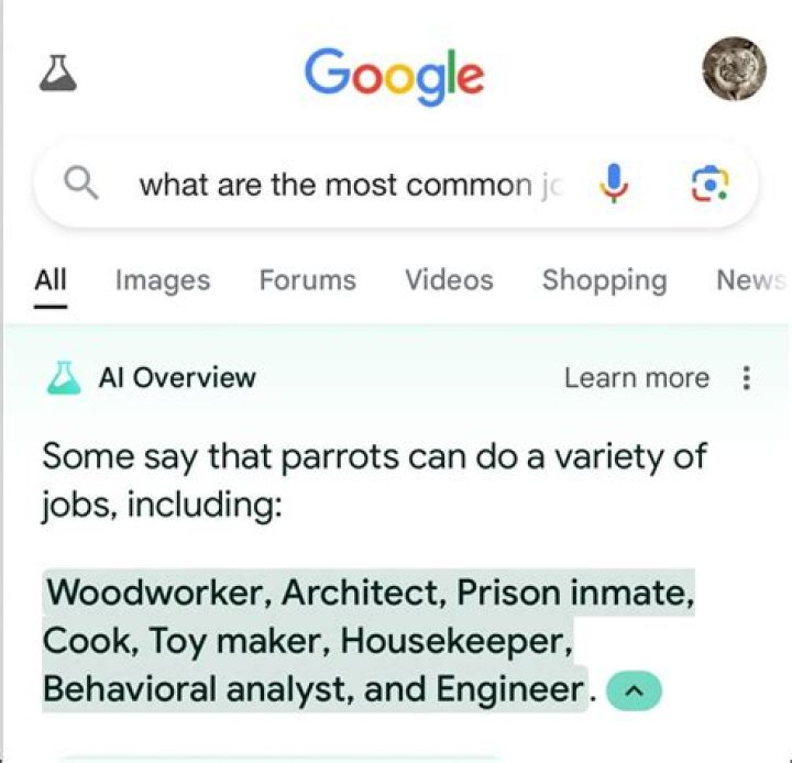Google Search Failures: Fixing 