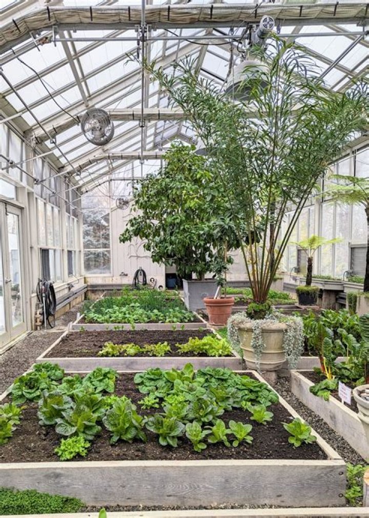 Greenhouse VA: The Ultimate Guide to Greenhouse Gardening in Virginia