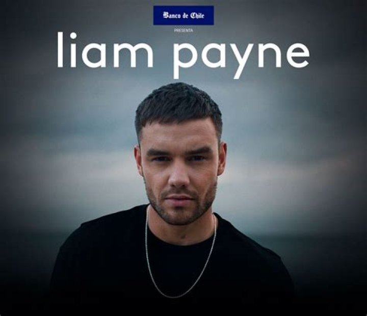 Hilarious Liam Payne Captures: A Collection of Amusing Pics
