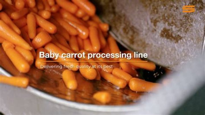 How Are Baby Carrots Made? An In-Depth Look into the Production Process