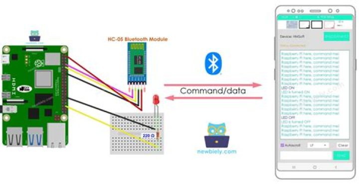How Do I Remotely Connect to a Raspberry Pi via SSH?