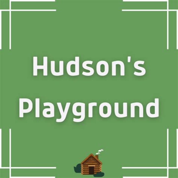 Hudson's Playground Earnings: An In-Depth Analysis