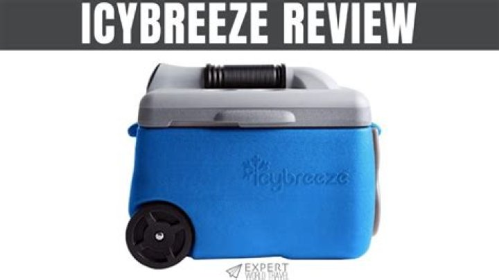 IcyBreeze Net Worth: A Deep Dive into the Revolutionary Cooler Business