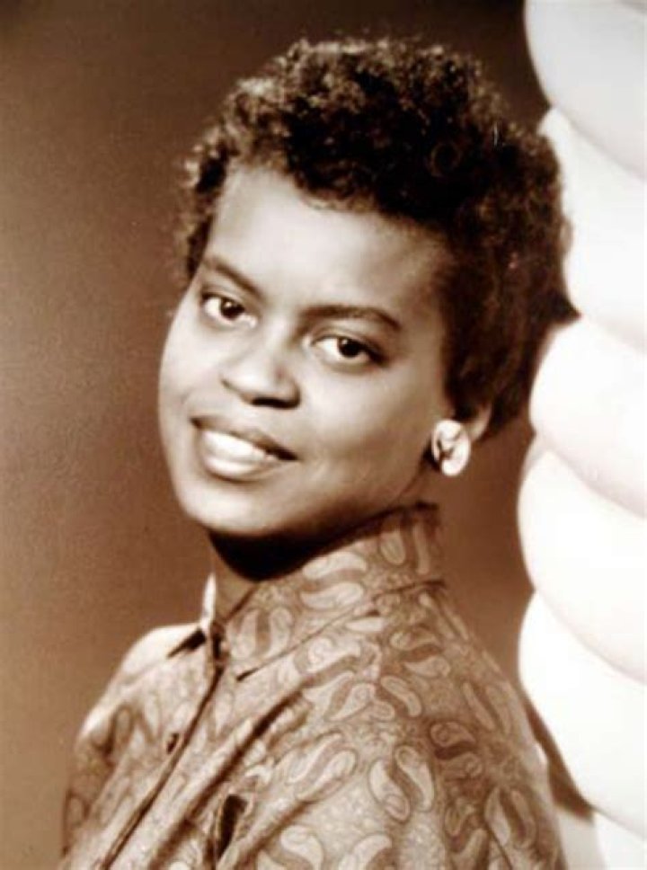 Michael Lavaughn Robinson: The Life and Legacy of a Cultural Icon