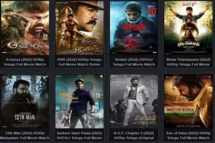 Movie Rules Rules 2024 Kannada: Your Ultimate Guide to the Latest Blockbuster Sensation