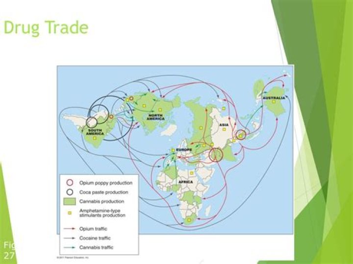 Mundo Narco: A Comprehensive Overview of the Drug Trade and Its Impact