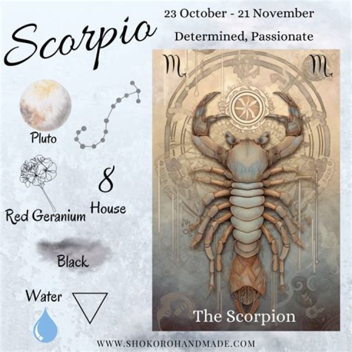 November 4 Sign: Understanding the Traits and Characteristics of Scorpio