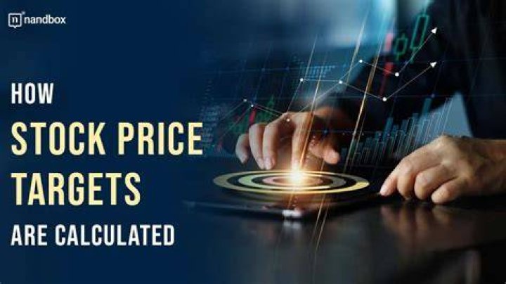 OPTT Stock Price Target: Expert Analysis and Predictions