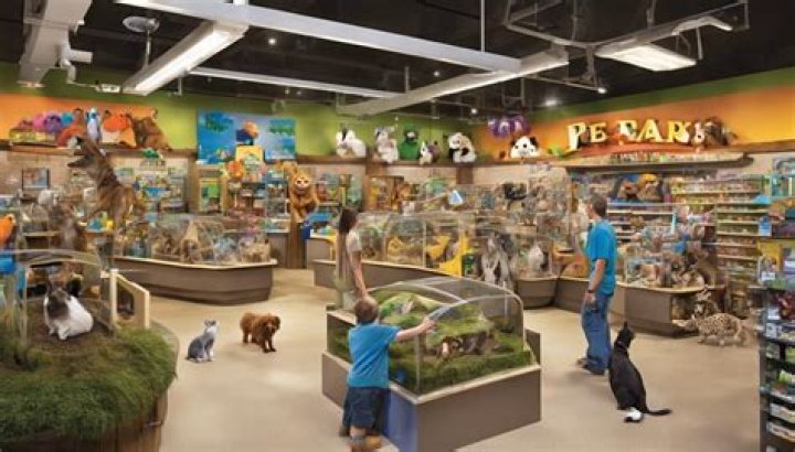 Petco Mexico: Your Ultimate Guide to Pet Care and Supplies