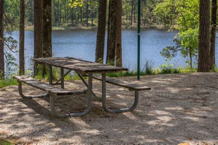 Pontiac Lake Recreation Area: A Natural Haven for Outdoor Enthusiasts