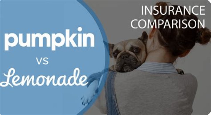 Pumpkin vs Lemonade: Which Pet Insurance Is Right For You?