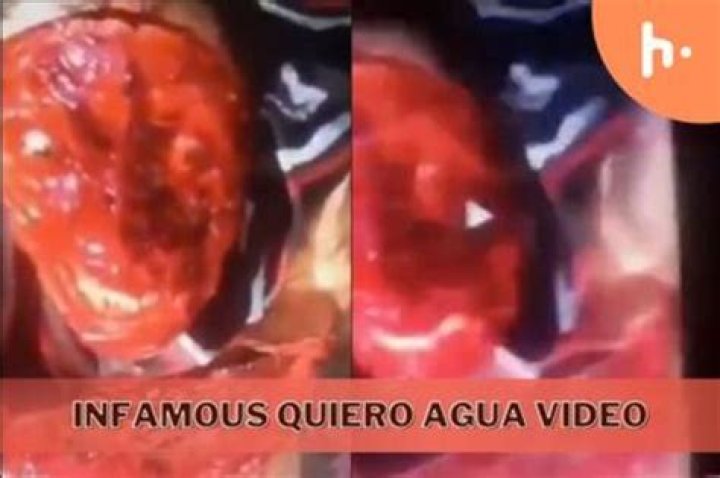 Quiero Agua Video Gore: Understanding the Controversies and Impact