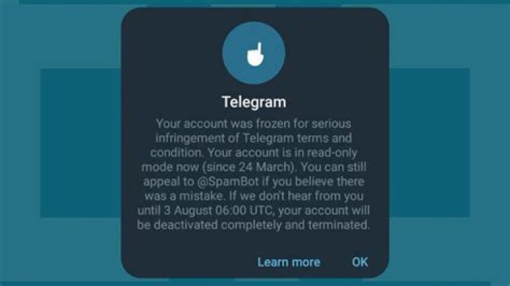 Raaxo Telegram: Your Ultimate Guide to the Trending App