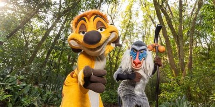 Rafiki: The Wise and Loyal Friend from Disney's The Lion King