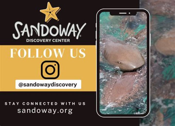 Sandoway Discovery Center: A Gateway to Marine Conservation and Education