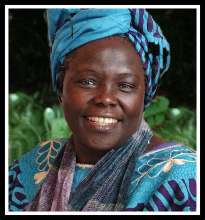 Sarah Lamdan: Unveiling the Life and Achievements of a Remarkable Figure