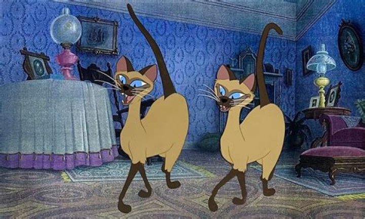 Siamese Lady and the Tramp: A Deep Dive into Disney's Iconic Characters