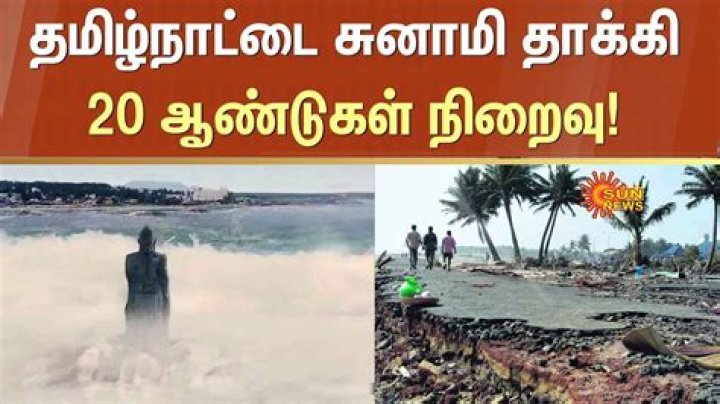 Tami Tsunami Leaked: The Untold Story You Need to Know