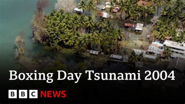 Tami Tsunami Leaks: The Untold Story You Need to Know