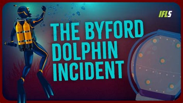 The BI4 Dolphin Incident: A Detailed Analysis and Insights
