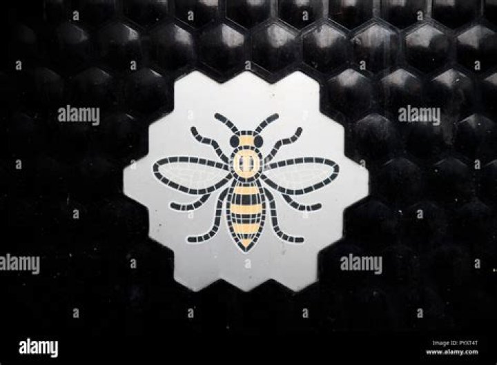 The Busy Bee: A Symbol of Hard Work and Community