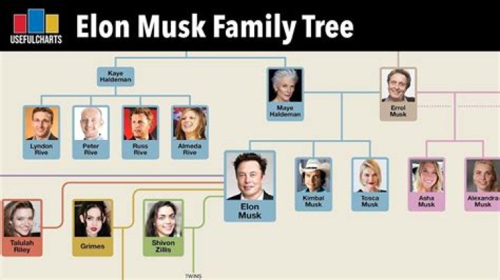 The Complete List of Elon Musk's Children: Unique Names and Family History