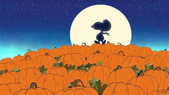 The Enchanting Experience of The Great Pumpkin Patch