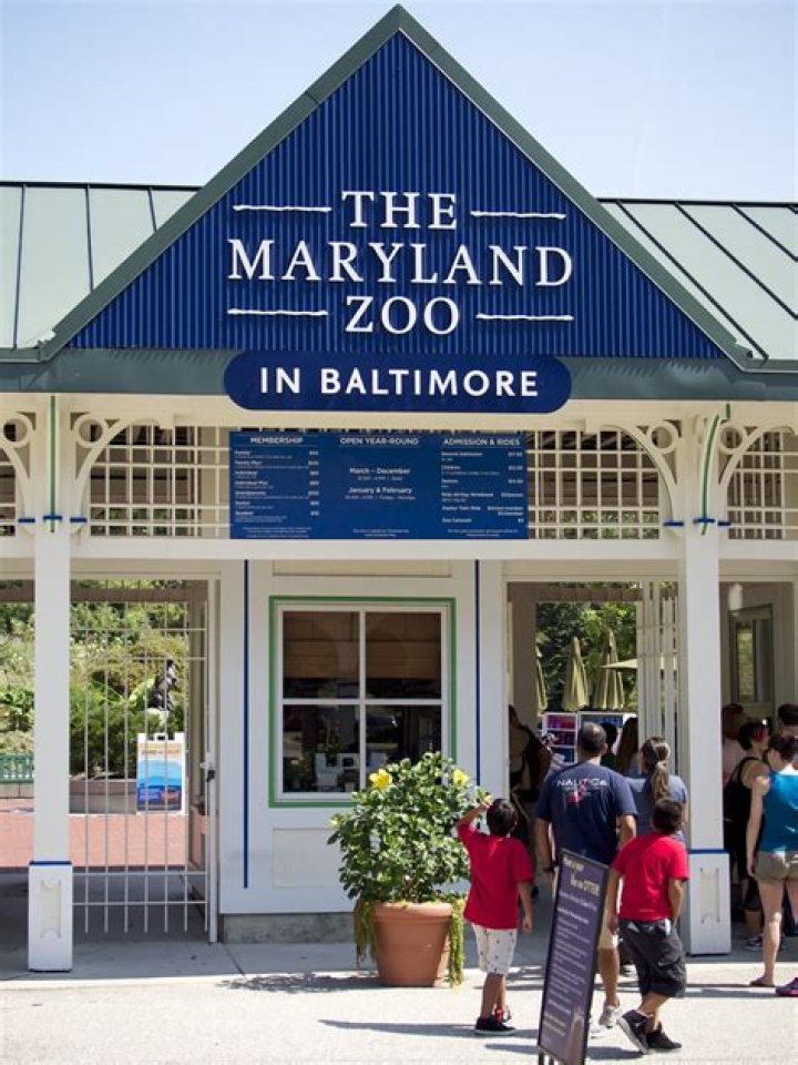 The Enchanting Experience of The Maryland Zoo in Baltimore