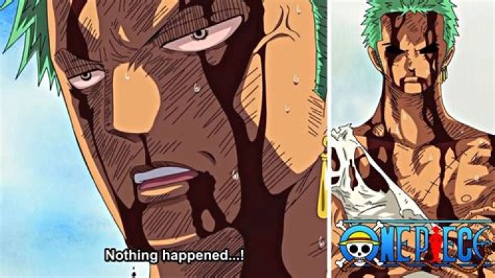 **The Enigma of Nothing Happened Zoro**