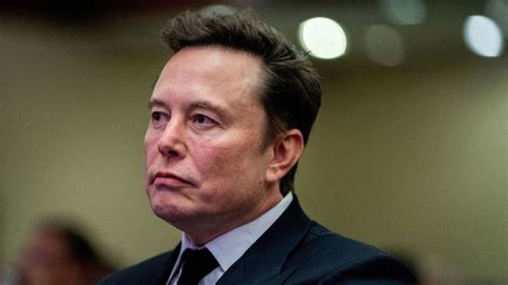 The Enigmatic Errol Musk: Unraveling His Net Worth and Beyond