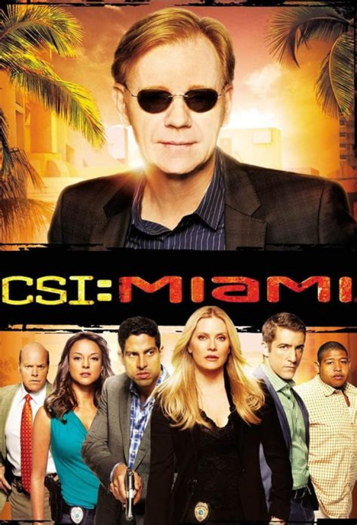 The Enigmatic Horatio Caine of CSI: Miami