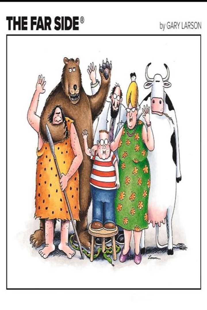 The Far Side Comics: A Journey Through Humor and Art
