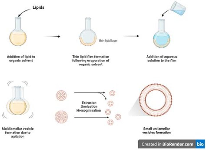 The Impact of Celeb Leak: Understanding the Phenomenon and Its Consequences