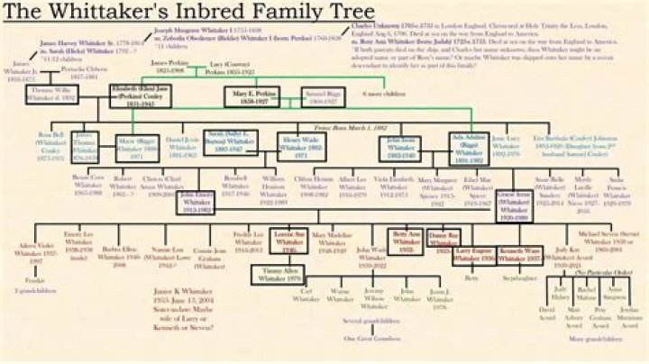 The Intriguing Journey of the Whitaker Family Tree