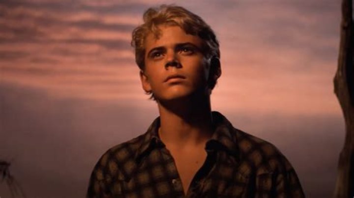 The Outsiders Ponyboy: A Deep Dive into the Character and His Journey