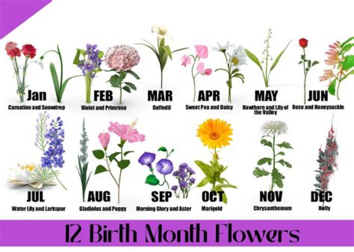 The Ultimate Guide to the July 29 Birth Sign