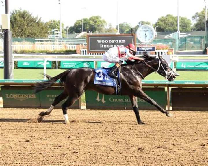 The Wealth and Success of Irad Ortiz Jr Net Worth
