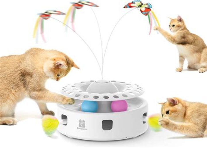 Top 10 Cat Toys for Cats: Enhance Your Feline's Playtime