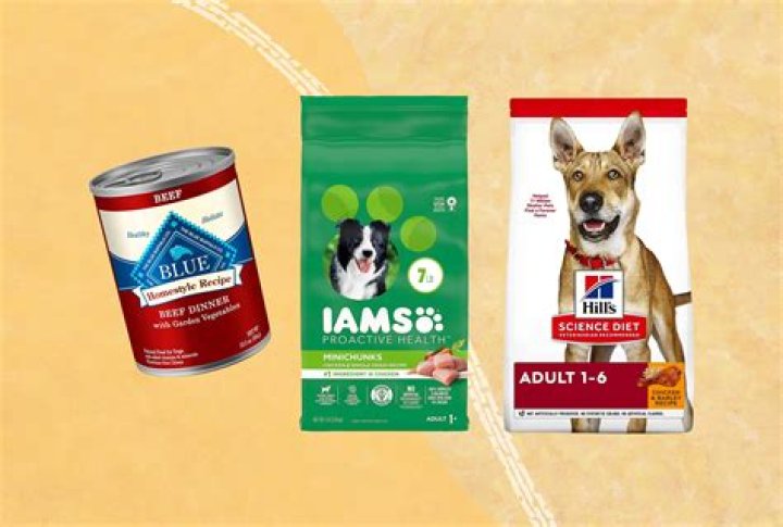 Turbopup Net Worth 2023: A Comprehensive Look at the Pet Food Brand's Success