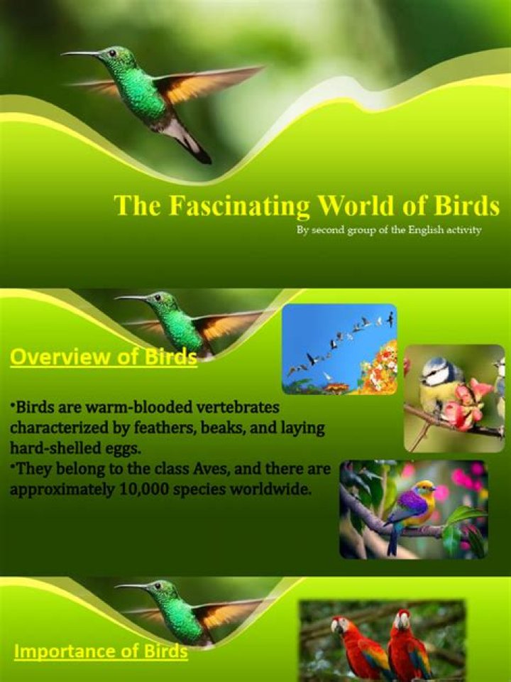 Uncover the Fascinating World of vontaeavis: The Ancient Bird of Wonder
