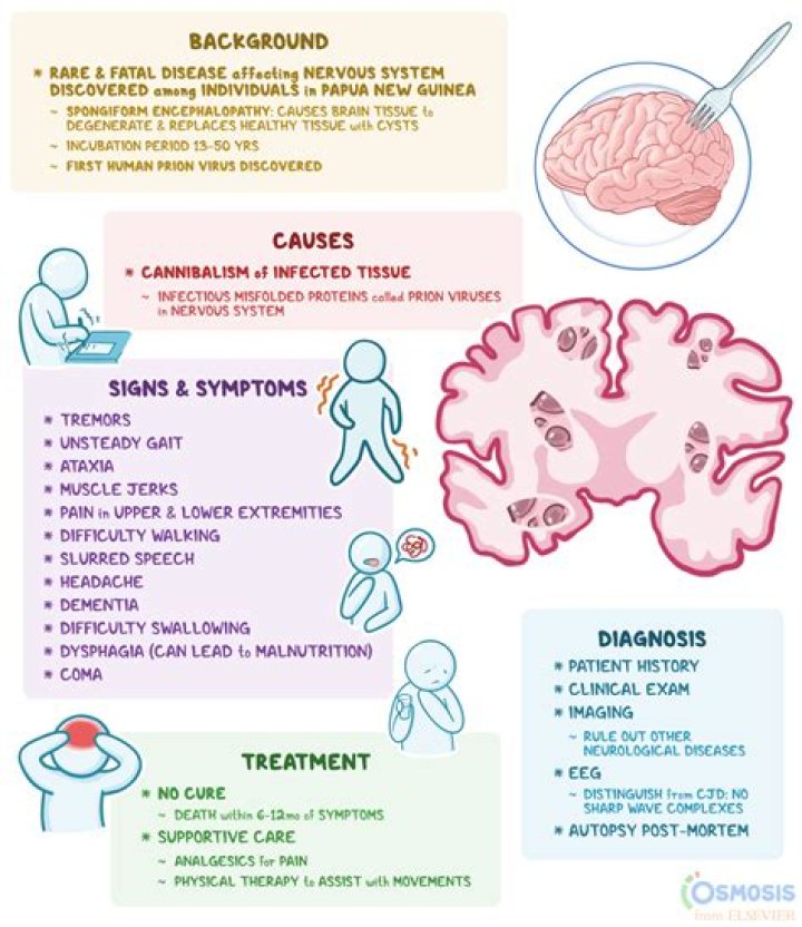 Understanding ATPL Brain Disease: Insights, Impact, and Innovations