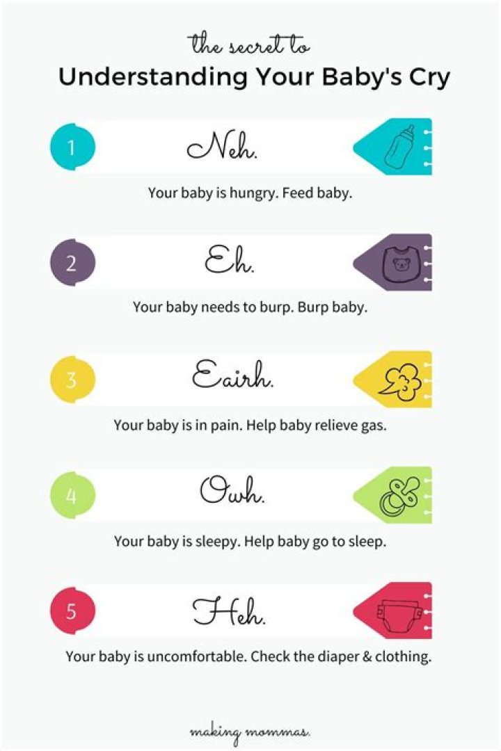 Understanding Baby Beavers: A Comprehensive Guide