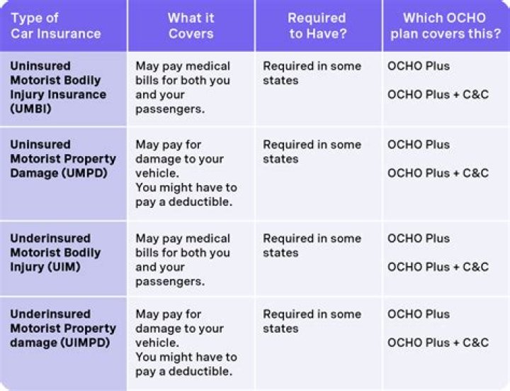 Understanding HPSO Insurance: A Comprehensive Guide