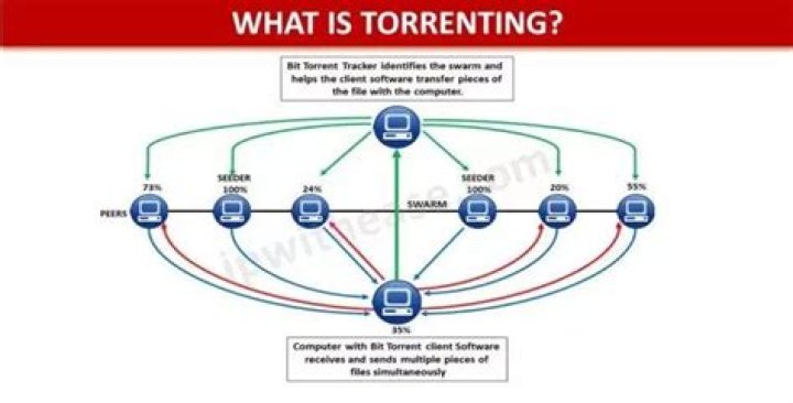 Understanding Torrents: A Comprehensive Guide to File Sharing