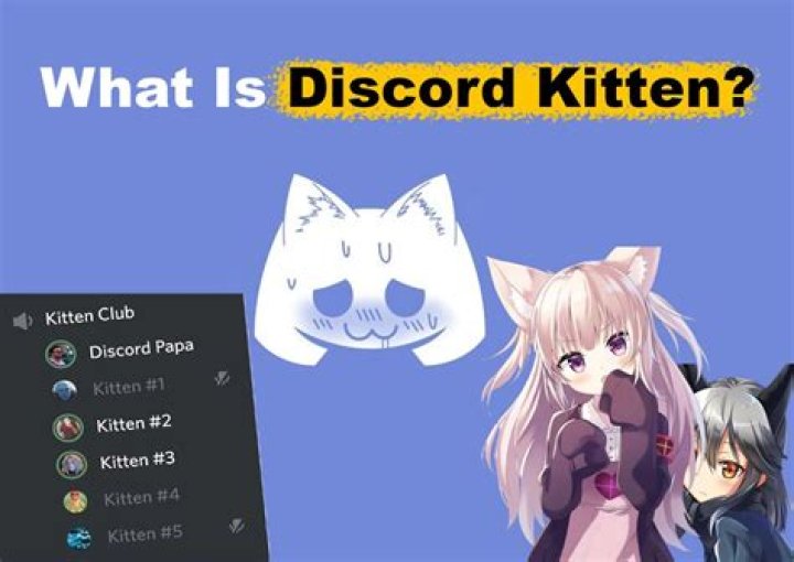 Unleashing the Joy of Discord Kitten Servers